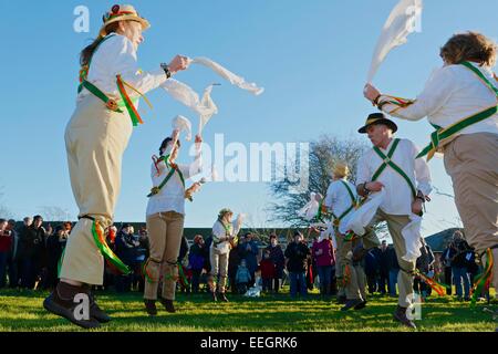 Bridport, Dorset, UK. 18. Januar 2015: Morris Dancers in Bridports Gemeinschaft Orchard an die alte Tradition des vergnügt teilnehmen. Vergnügt fand hauptsächlich in den Apfelwein Herstellung von Westengland Obstgärten. Das singen tanzen und laute Geräusche waren gedacht, um böse Geister abschrecken und sorgen für eine gute Ernte. Bildnachweis: Tom Corban/Alamy Live-Nachrichten Stockfoto