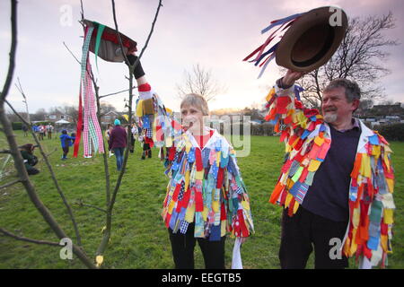 Morris Tänzer singen & doff ihre Kappen, ein junger Apfelbaum im Rahmen der Wassail Feierlichkeiten in einer Gemeinschaft Obstgarten Derbyshire UK Stockfoto