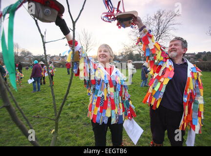 Morris Tänzer singen & doff ihre Kappen, ein junger Apfelbaum im Rahmen der Wassail Feierlichkeiten in einer Gemeinschaft Obstgarten Derbyshire UK Stockfoto