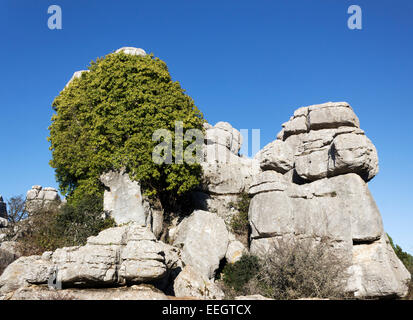 El Torcal de Antequera, Sierra del Torcal, Antequera, Málaga, Andalusien, Spanien.  Karstigen Felsformationen Stockfoto