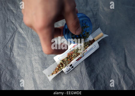 Ein Skunk-Cannabis-Joint, das auf einem Pro-Legalisierungsfestival in Redcar, Teesside, Großbritannien, vorbereitet wird. 20/08/2014. Foto: Stuart Boulton. Stockfoto