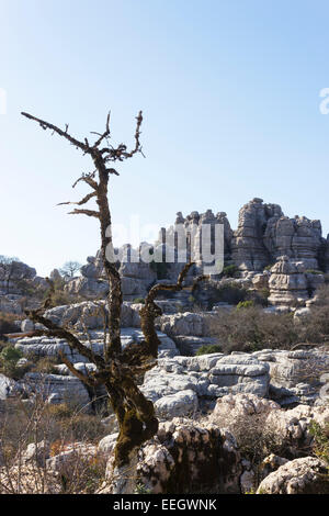 El Torcal de Antequera, Sierra del Torcal, Antequera, Málaga, Andalusien, Spanien.  Karstigen Felsformationen. Stockfoto