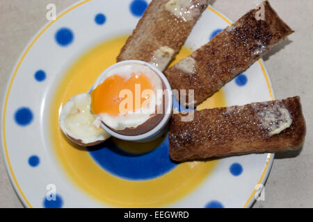 Weich gekochtes Ei im Eierbecher mit Toast Soldaten. Stockfoto