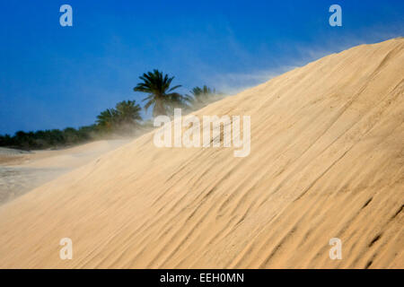Wind weht golden Sand über den Rand einer Sanddüne gegen blauen Himmel in der Wüste sahara Stockfoto