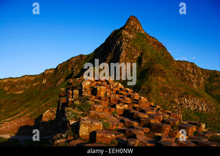 Giants Causeway North Antrim Küste Nord-Irland Stockfoto