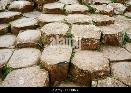 sechseckige Basalt Stein Formationen auf der Giants Causeway North Antrim Küste Nord-Irland Stockfoto