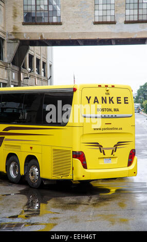 Eine helle gelbe Yankee-Tour-Bus auf einem Parkplatz in Boston, Massachusetts Stockfoto