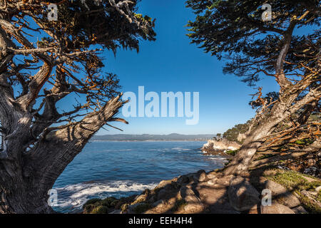 Point Lobos State Reserve Naturpark in Monterey Ca, Cypress Cove Trail Stockfoto