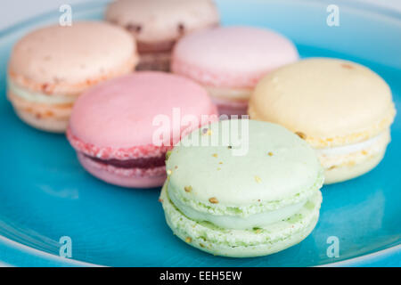 Ein Teller mit bunten französische Macarons aus dem Herzogin Bake Shop in Edmonton, Alberta, Kanada. Stockfoto