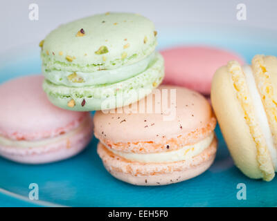 Ein Teller mit bunten französische Macarons aus dem Herzogin Bake Shop in Edmonton, Alberta, Kanada. Stockfoto