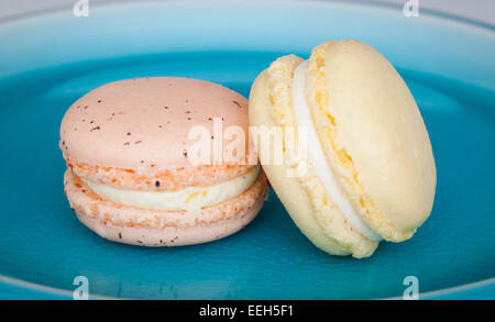 Ein Teller mit bunten französische Macarons aus dem Herzogin Bake Shop in Edmonton, Alberta, Kanada. Stockfoto