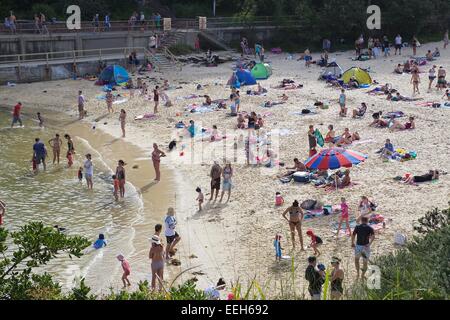 Clovelly Beach in den östlichen Vororten Sydneys an einem sonnigen Sonntag im Sommer. Stockfoto