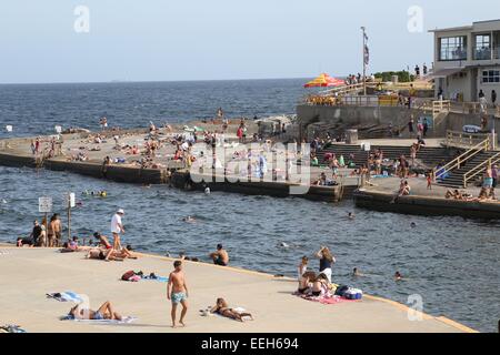 Clovelly Beach in den östlichen Vororten Sydneys an einem sonnigen Sonntag im Sommer. Stockfoto