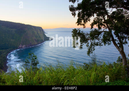 Waipio übersehen Stockfoto