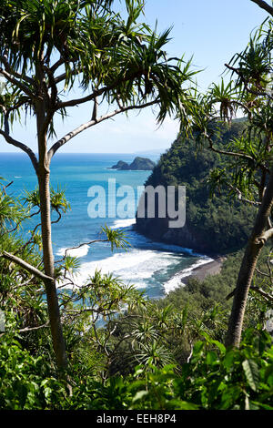 Pololu Point Lookout Stockfoto