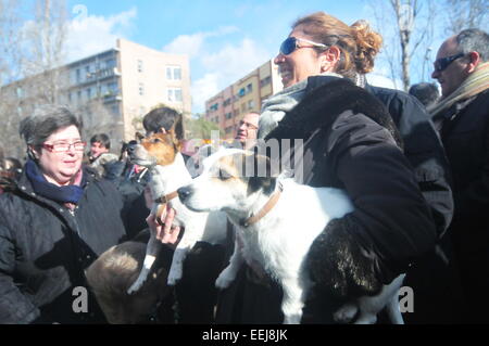 Barcelona, Spanien. 18. Januar 2015. Sant Antoni Abad, Schutzpatron der Tiere (Sant Cugat, Barcelona, Spanien, 18. Januar 2015) eine Tradition in welche alle Arten von Tieren werden gebracht, um gesegnet zu werden.  Hunde, die darauf warten, werden gesegnet Credit: Monica Condeminas/Alamy Live News Stockfoto