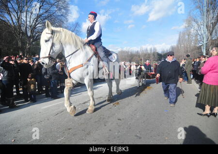 Barcelona, Spanien. 18. Januar 2015. "Tres Tombs" Parade (Sant Cugat, Barcelona, Spanien, 18. Januar 2015) eine Rememebring Tradition der landwirtschaftlichen Vergangenheit der heutigen Städte. Stolz und Freude eines Landwirts Pferdes Credit: Monica Condeminas/Alamy Live News Stockfoto