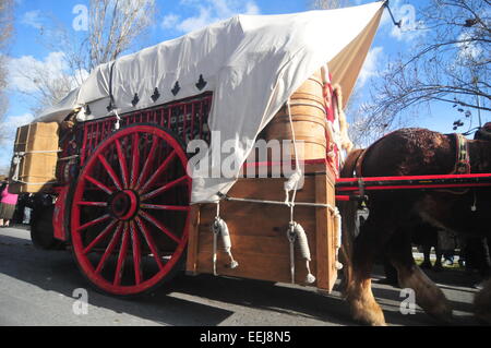 Barcelona, Spanien. 18. Januar 2015. "Tres Tombs" Parade (Sant Cugat, Barcelona, Spanien, 18. Januar 2015) eine Rememebring Tradition der landwirtschaftlichen Vergangenheit der heutigen Städte. Wein-Wagen Credit: Monica Condeminas/Alamy Live News Stockfoto