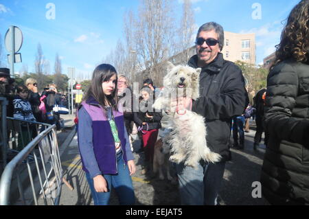 Barcelona, Spanien. 18. Januar 2015. Sant Antoni Abad, Schutzpatron der Tiere (Sant Cugat, Barcelona, Spanien, 18. Januar 2015) eine Tradition in welche alle Arten von Tieren werden gebracht, um gesegnet zu werden.  Hund und Besitzer Credit: Monica Condeminas/Alamy Live News Stockfoto