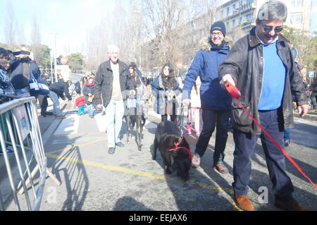 Barcelona, Spanien. 18. Januar 2015. Sant Antoni Abad, Schutzpatron der Tiere (Sant Cugat, Barcelona, Spanien, 18. Januar 2015) eine Tradition in welche alle Arten von Tieren werden gebracht, um gesegnet zu werden.  Hunde und Besitzer Credit: Monica Condeminas/Alamy Live News Stockfoto