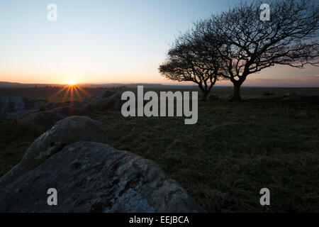 Sonnenuntergang auf den Sarsen Steinen auf Fyfield unten Nationalreservat, Wiltshire, UK Stockfoto