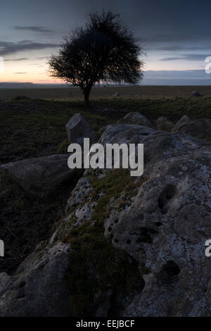 Sarsen Steinen in der Abenddämmerung, Fyfield unten Nationalreservat, Wiltshire, UK Stockfoto