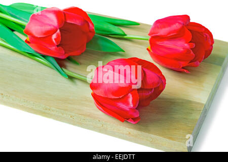 Drei große schöne Tulpe roter Farbe mit grünen Blättern auf einem weißen Hintergrund. Stockfoto