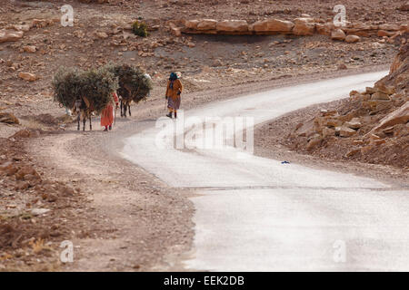 Frau und Esel. Todra Schluchten. Marokko. Nordafrika. Afrika Stockfoto