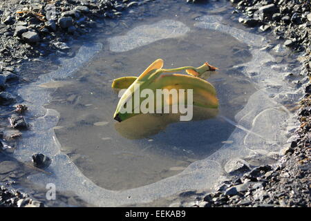 Eine Bananenschale lauert auf einem gefrorenen Schlagloch ein ahnungsloses Opfer Stockfoto