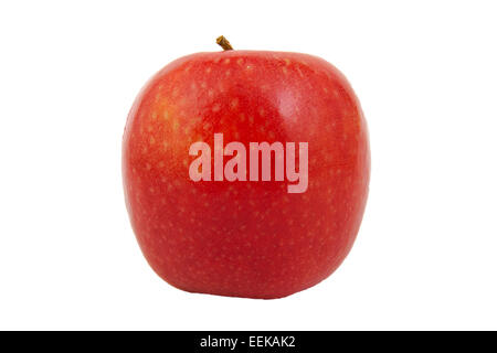Vorderansicht des Red Pink Lady Apfel isoliert auf weiß Stockfoto