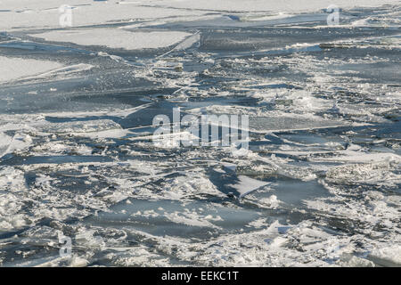 Eis und Schnee am Lake Ontario im winter Stockfoto