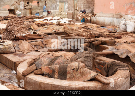 Gerbereien. Marrakesch. Marokko. Nordafrika. Afrika Stockfoto