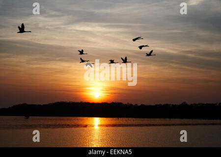 Sonnenuntergang über Cave Hill und Belfast Lough-Nordirland Stockfoto