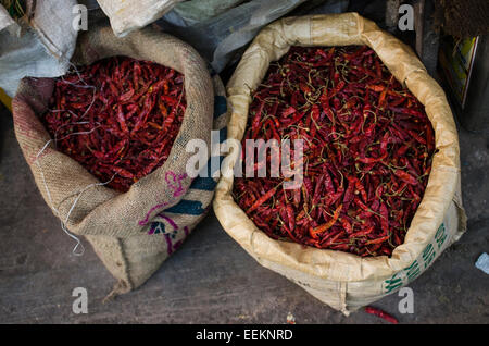 Nahaufnahme von getrockneten roten Chilischoten zum Verkauf in einem Jodhpur Stadtmarkt, im Bundesstaat Rajasthan, Indien Stockfoto