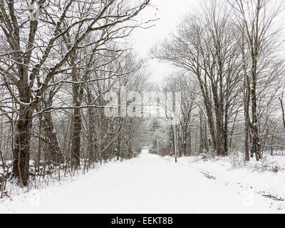 Schneereiche Winter Straße des Landes nach Winter-Schnee-Sturm. Stockfoto