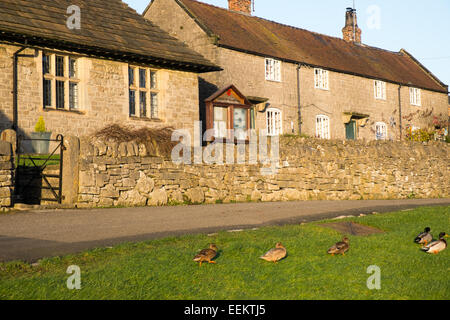 Tissington einem malerischen englischen Dorf in Derbyshire Peak district Stockfoto