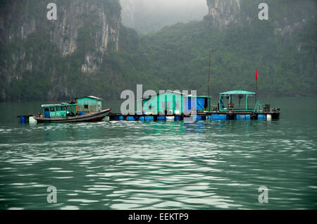 Einige schwimmende Häuser auf Plattform unterstützt durch Fässer vor Anker von Karst-Mauer Stockfoto