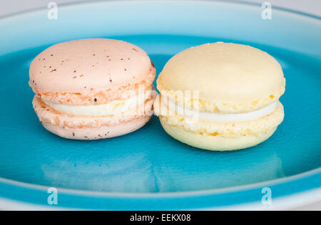 Ein Teller mit bunten französische Macarons aus dem Herzogin Bake Shop in Edmonton, Alberta, Kanada. Stockfoto