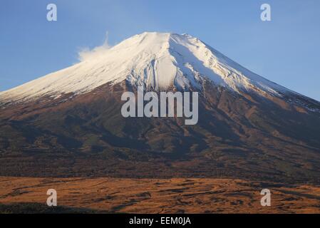 Mt. Fuji im Morgenlicht Stockfoto