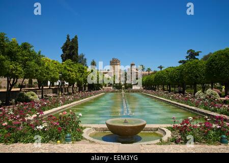 Garten in der Alcázar de Los Reyes Cristianos, Provinz Córdoba, Andalusien, Spanien Stockfoto