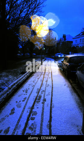 Brighton UK 20. Januar 2015 - Schnee fällt heute Morgen in der Queens Park Gegend von Brighton. Temperaturen waren nicht voraussichtlich weit über Null im Süden des Vereinigten Königreichs heute bekommen, aber der Schnee war nicht zu erwarten letzte lange. Stockfoto