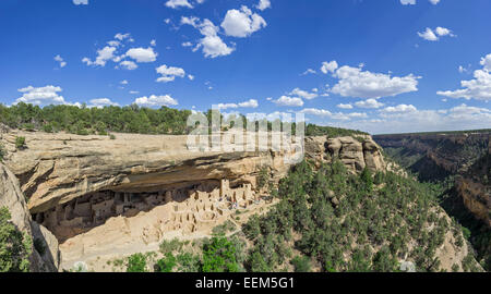 Cliff Palace Cliff dwelling, Mesa Verde National Park, Colorado, United States Stockfoto