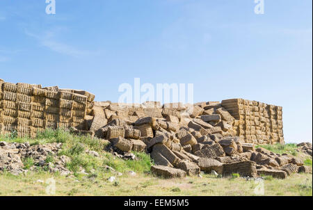 Riesige Stapel von Strohballen gesammelt aus dem Feld, die unter ihrem eigenen Gewicht zusammengebrochen Stockfoto