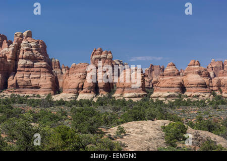 Felsformationen, Nadeln, Monticello, Virginia, United States Stockfoto