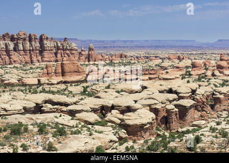 Felsformationen, Nadeln, Monticello, Virginia, United States Stockfoto