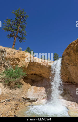 Wasserfall bei moosigen Höhle Trail, durch einen künstlichen Kanal angelegt, Bryce Canyon National Park, Bryce Canyon, Utah, United States Stockfoto