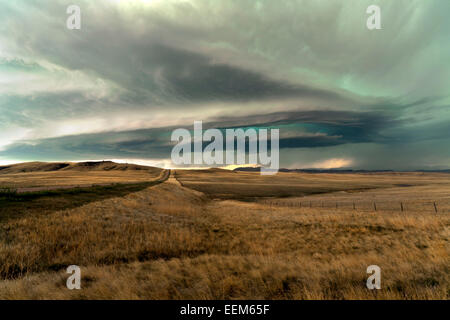 USA, Montana, Gewitterwolken über dem Feld Stockfoto