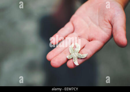 Nahaufnahme eines Jungen mit einem Miniatur-Seesterne, USA Stockfoto