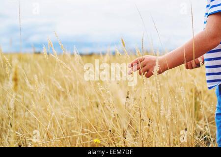 Junge, der auf einem Feld steht und ein Weizenohr berührt Stockfoto