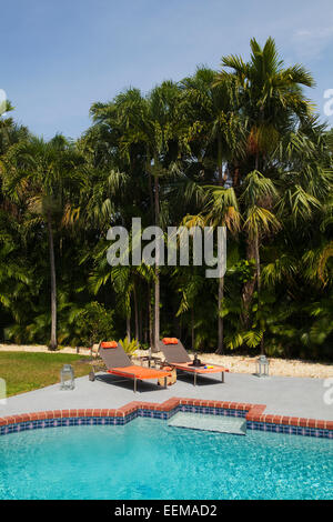 Liegestühle in der Nähe von Swimming Pool im Hinterhof Stockfoto